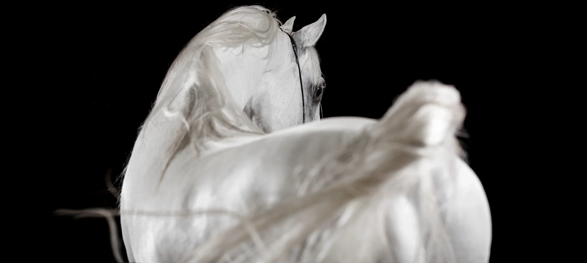 Arcanum — Detail View