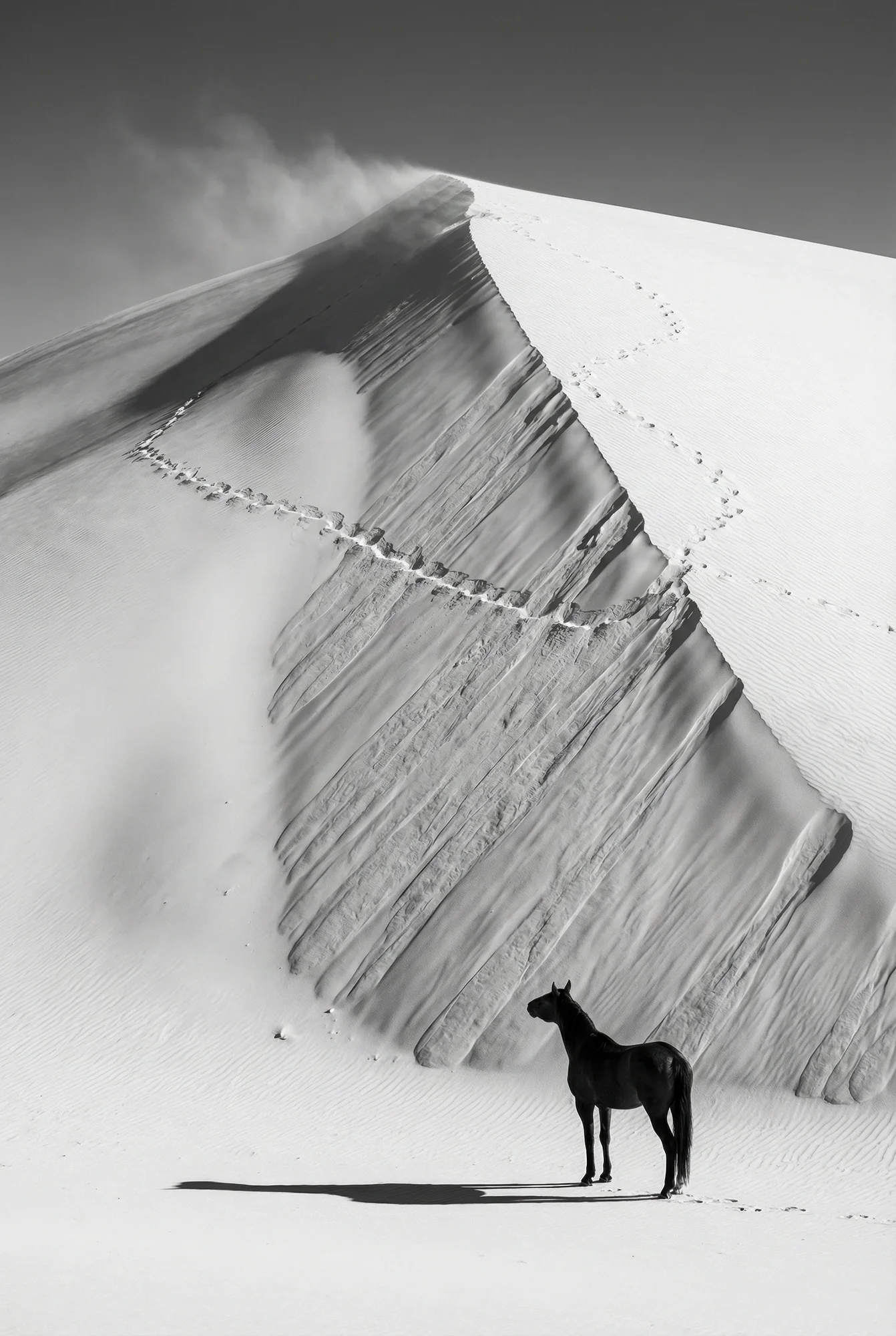 Ascensus — Over the Dunes Collection by Raphael Macek