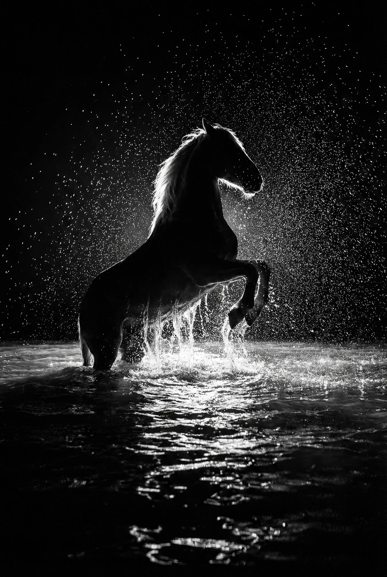 Oltre le Onde Collection