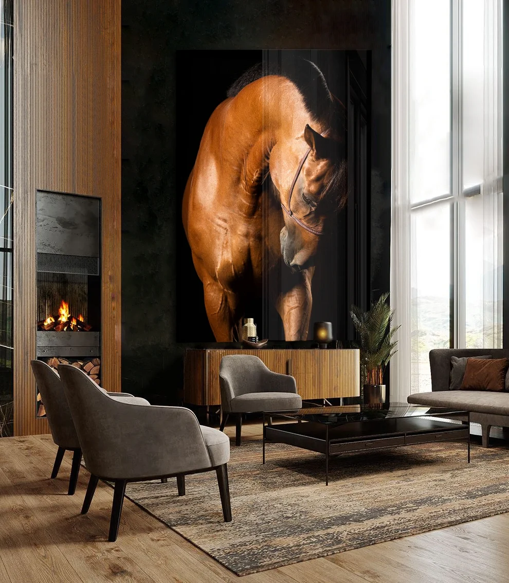 Maiesta — fine art equine photography by Raphael Macek