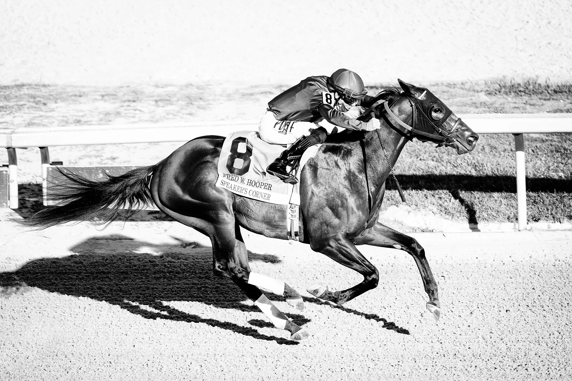 Galope — Beyond the Gate Collection