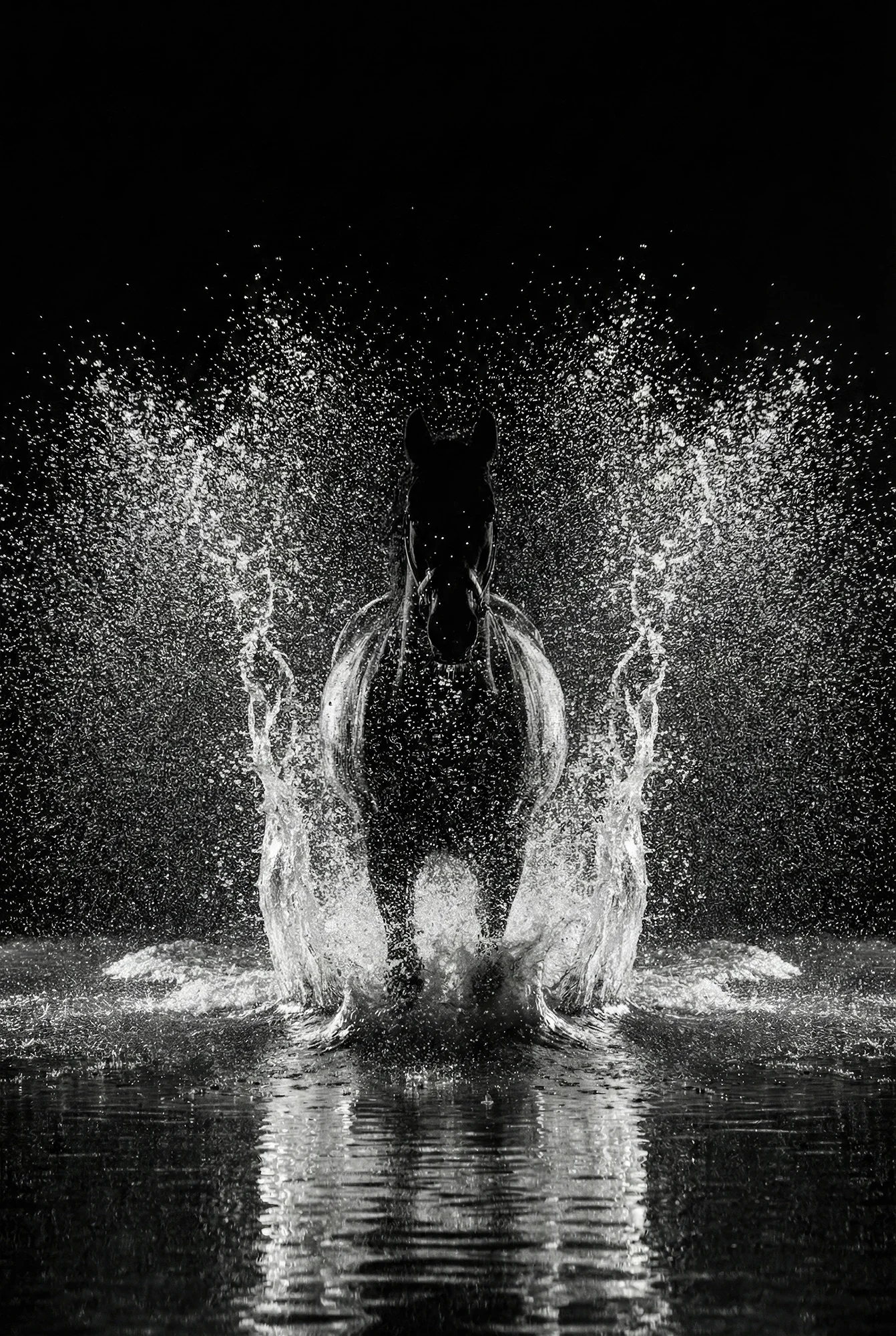 Erumpō — Equine Beauty Collection by Raphael Macek