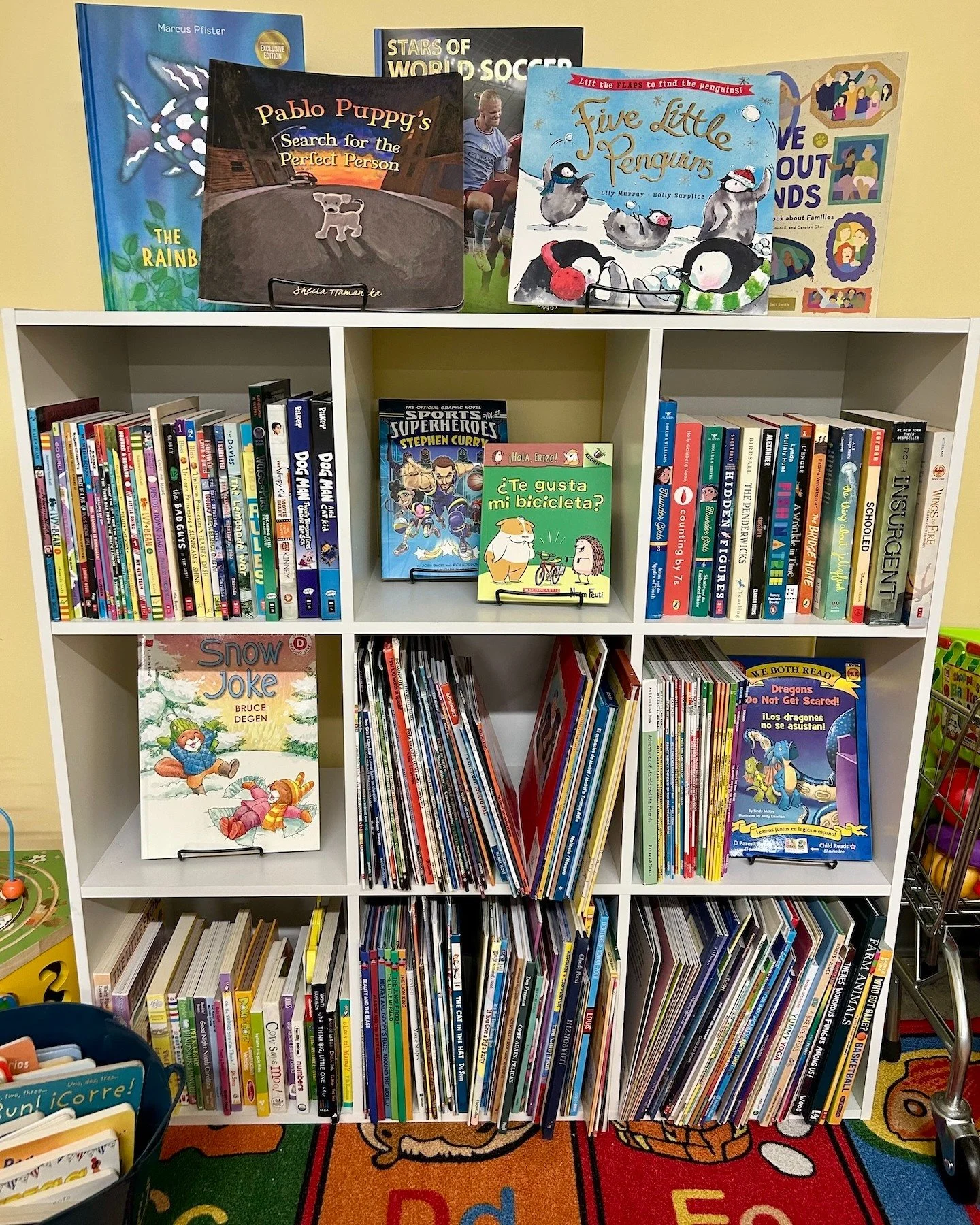 CORA Bookshelves