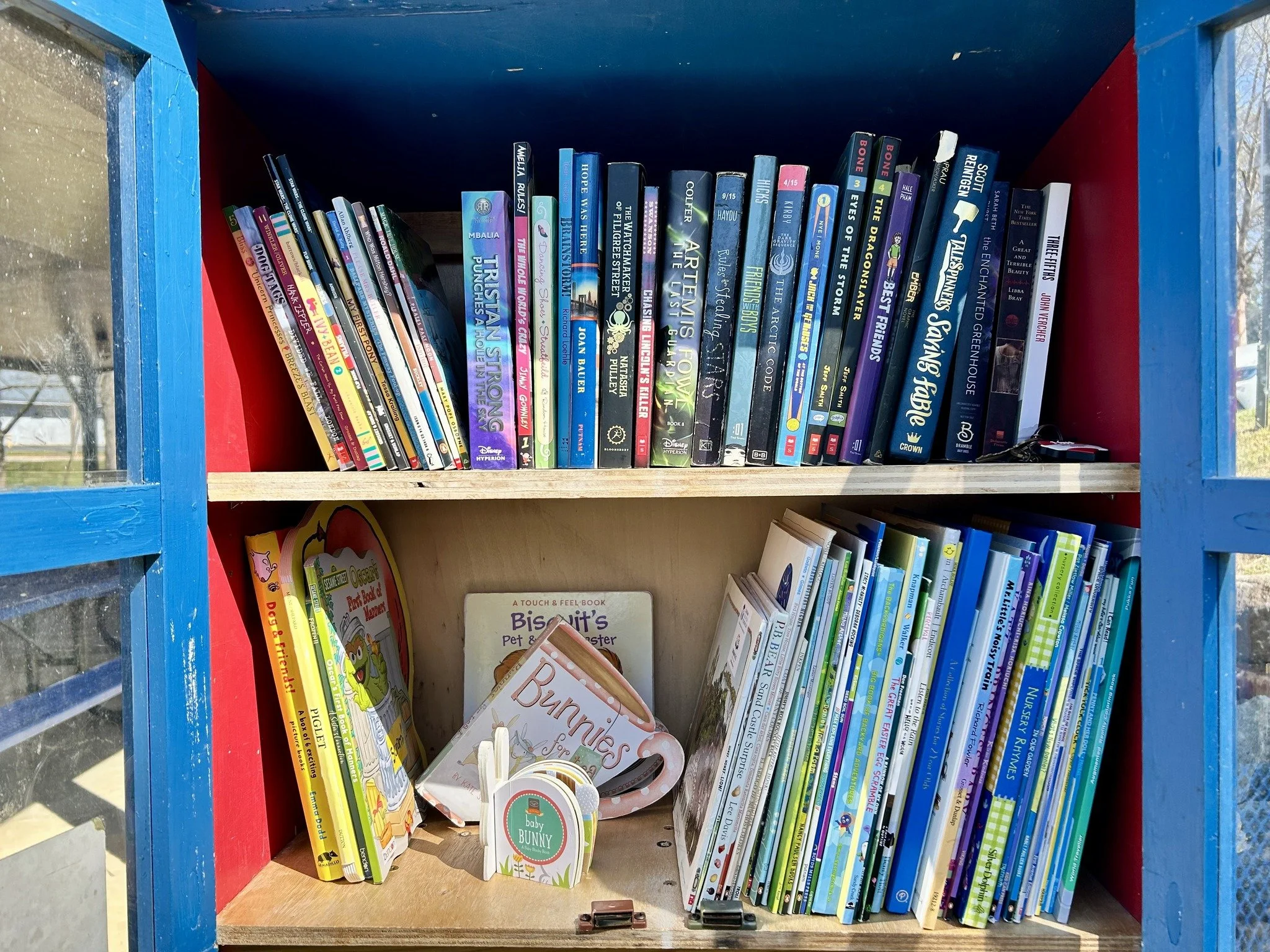 Little Libraries