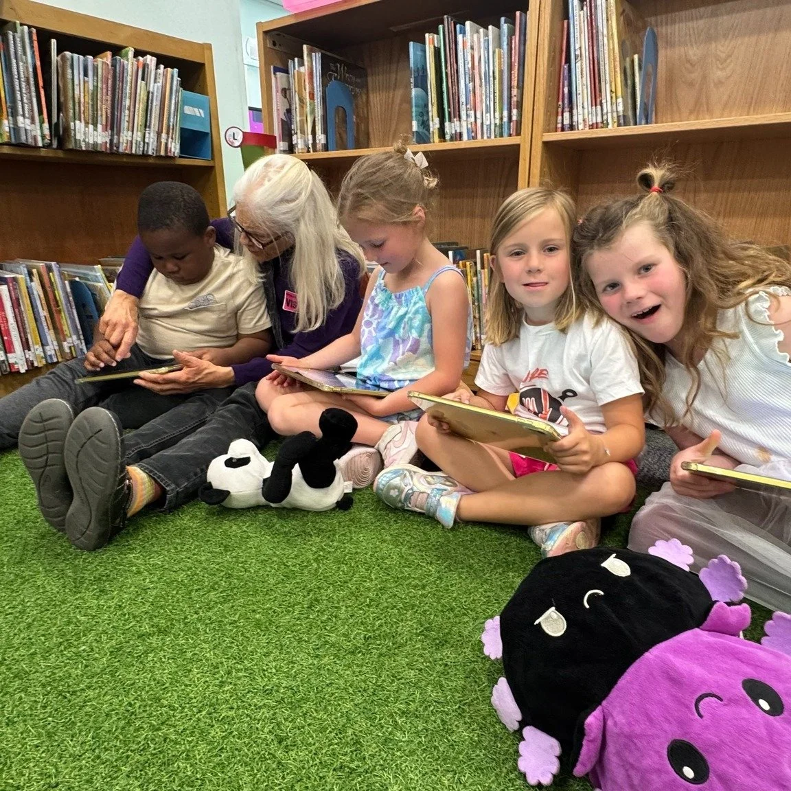 Support School Libraries