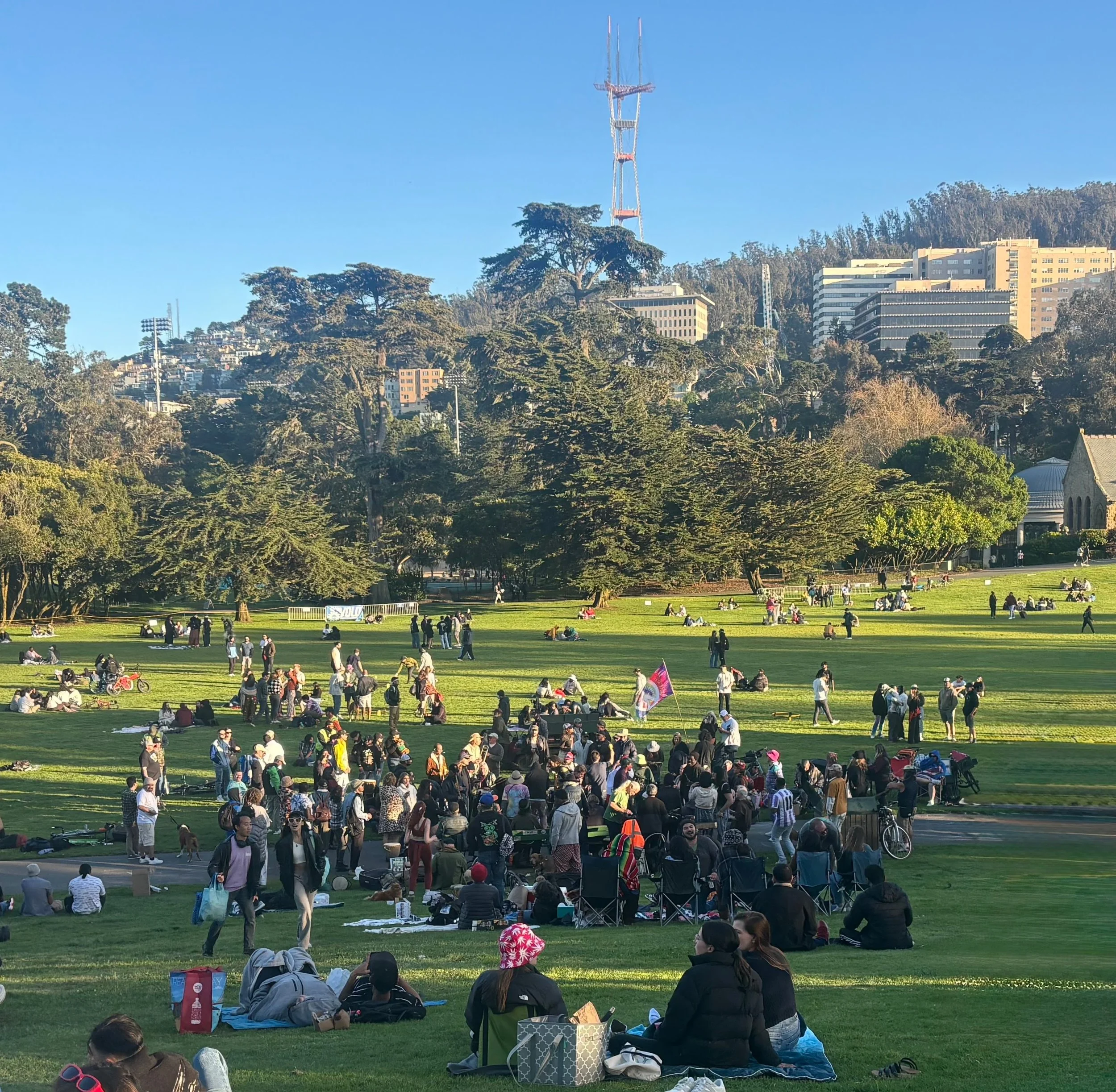 Robin Williams Meadow, Golden Gate Park