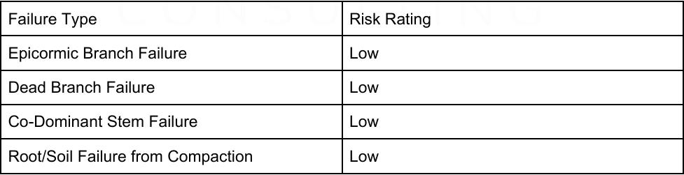 RootWise Tree Health and Risk Assessment excerpt showing failure types and risk ratings for a sample assignment.