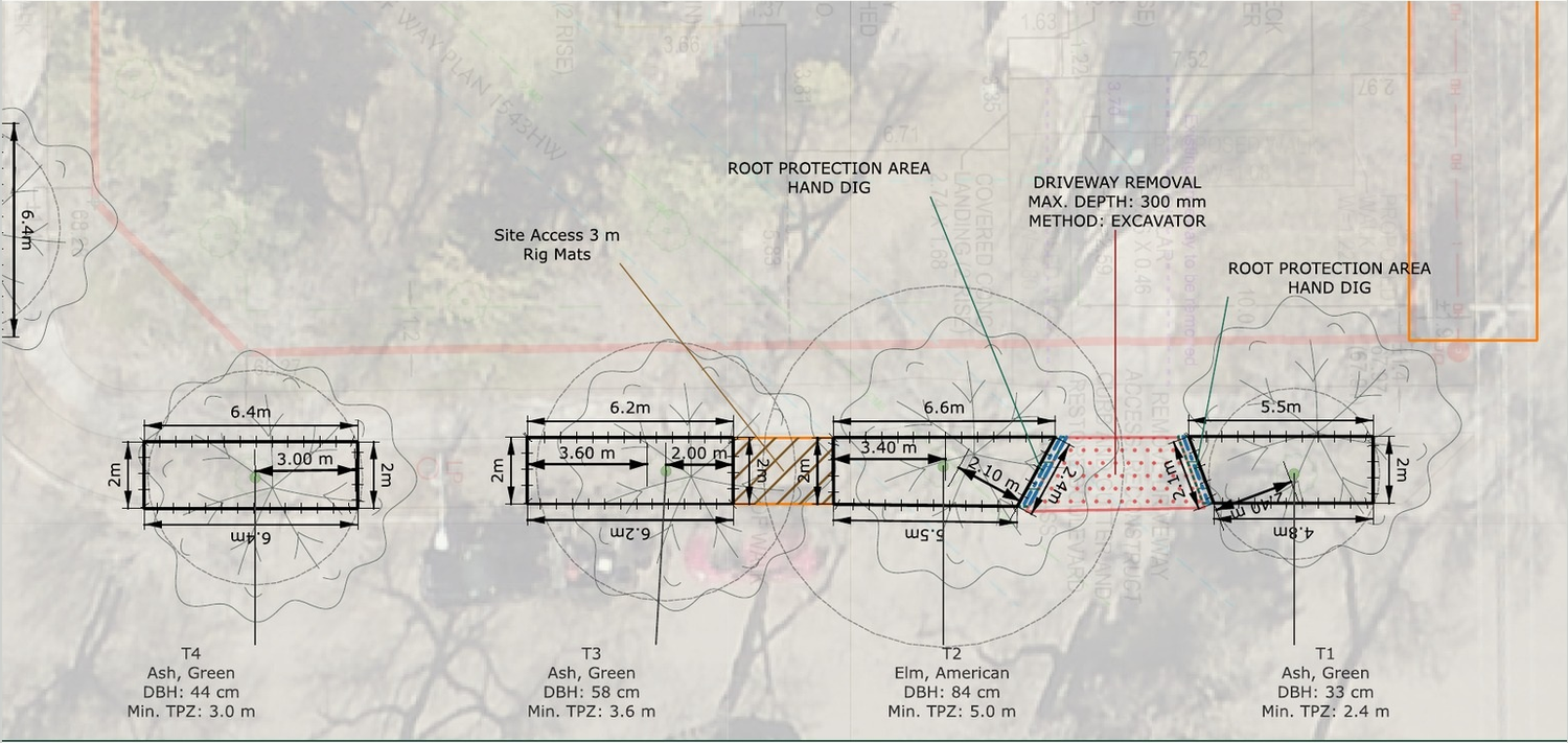Redacted RootWise Tree Preservation Plan detail showing protection fencing, access and excavation measures.