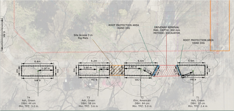 Redacted RootWise tree preservation plan excerpt showing protection fencing, access and excavation measures.