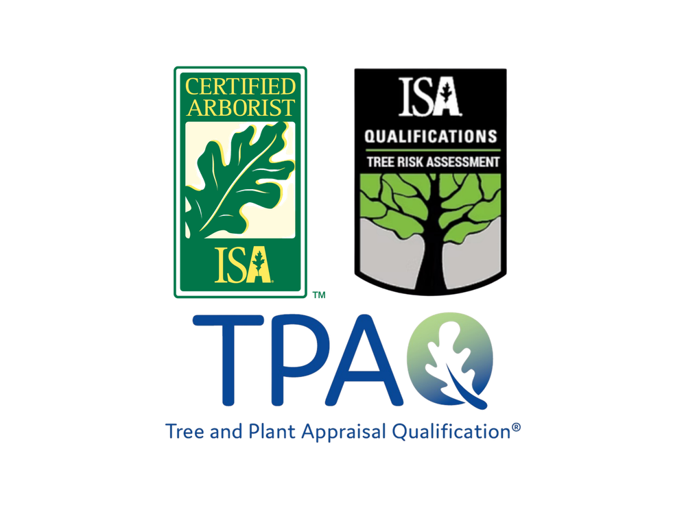 Credential logos for ISA Certified Arborist, Tree Risk Assessment Qualification, and tree appraisal qualification.