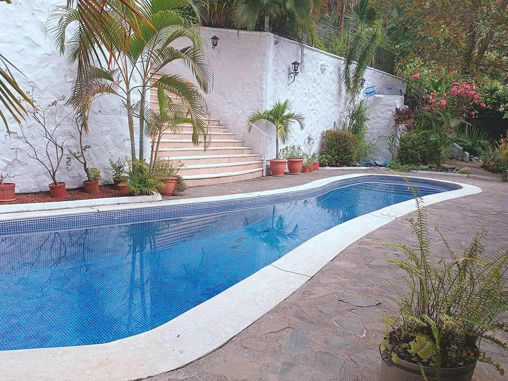 Private resort-style swimming pool with stone terrace and palm trees at Jungle House Calle Hermosa.