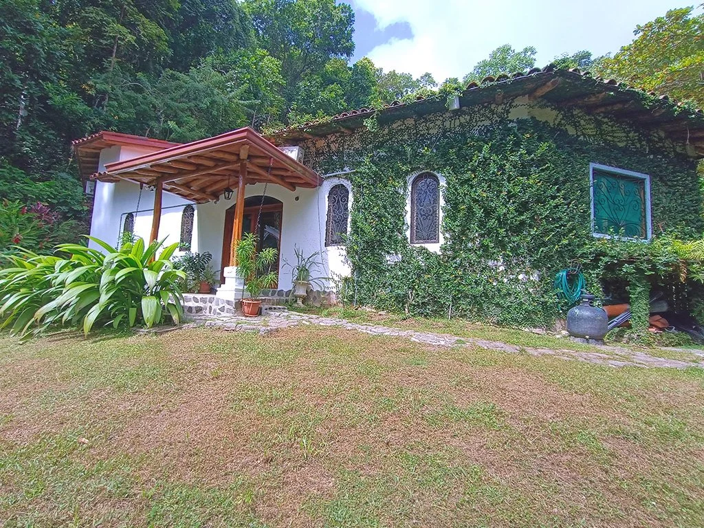 Front exterior of Jungle House Calle Hermosa surrounded by lush tropical jungle in Costa Rica.