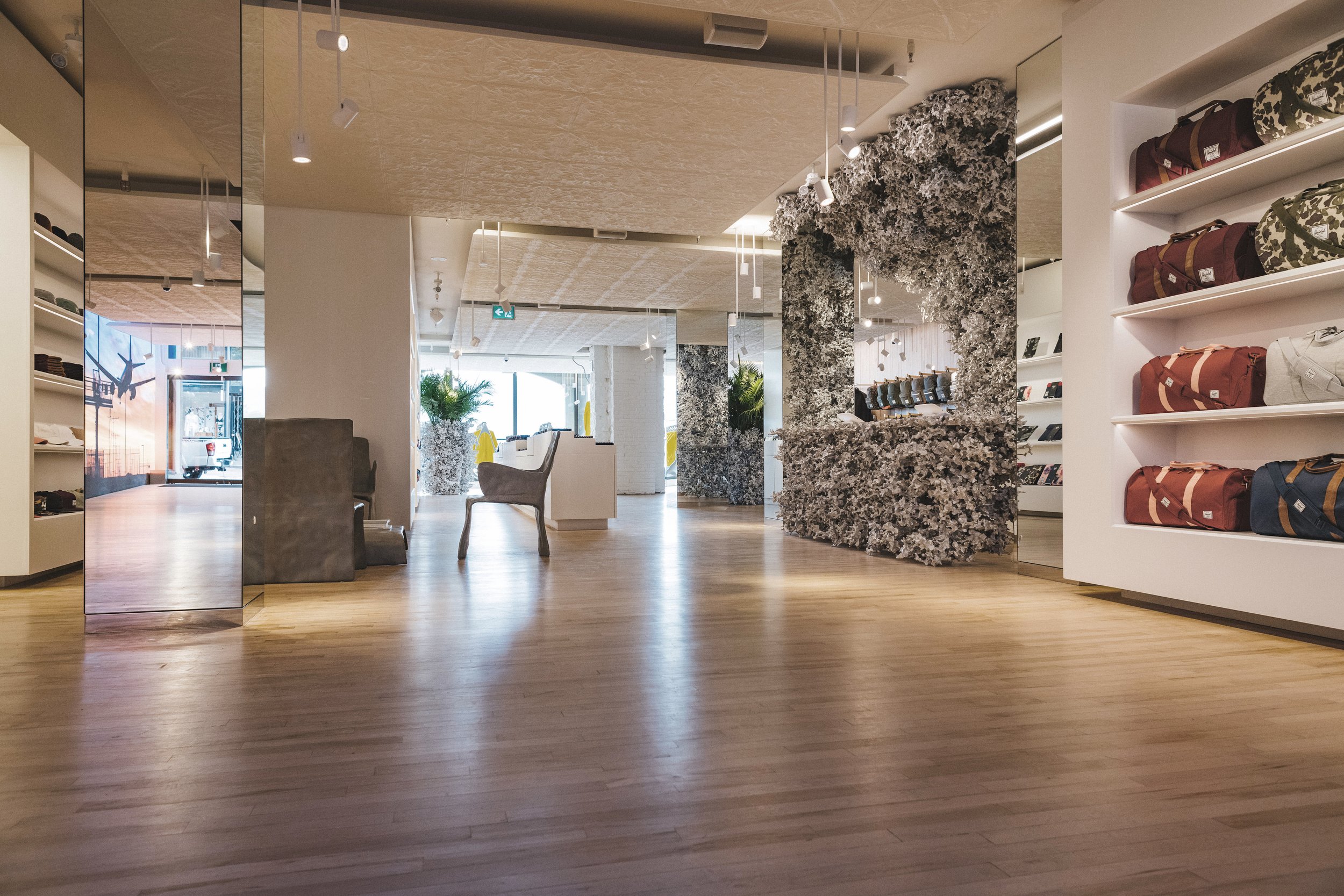 Robson project