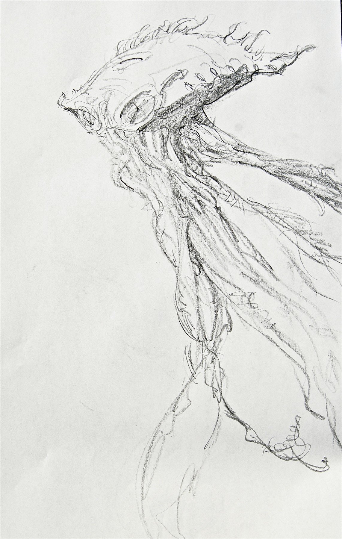 Jellyfish alien study