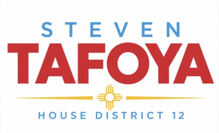 Brenda Olson Campaign Logo