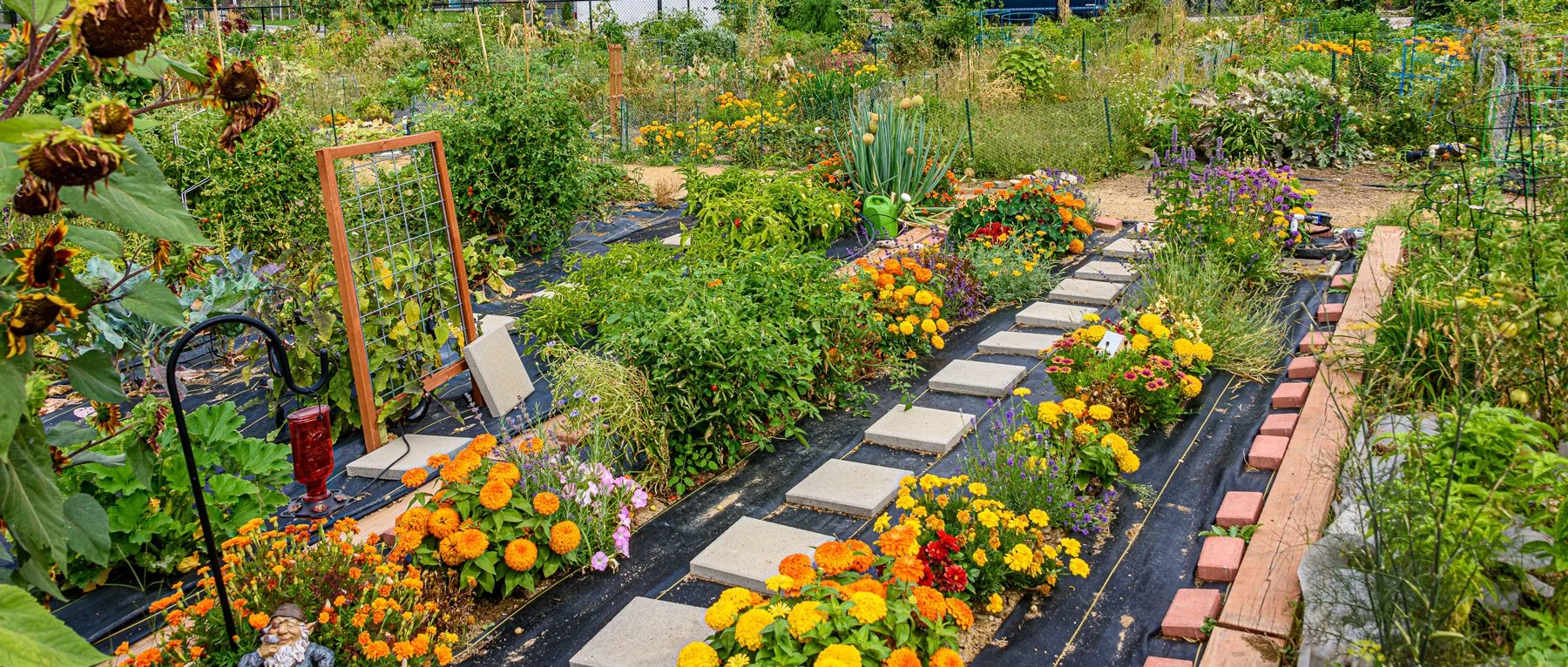garden