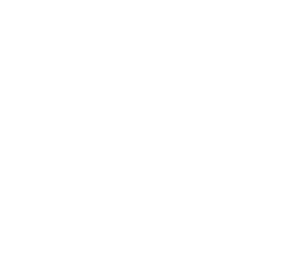 The Moth Logo