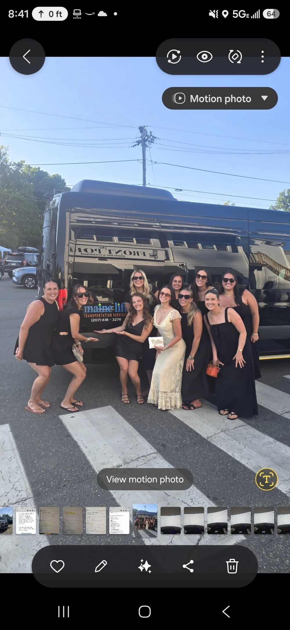 Wedding party beside the Maine Lift Sprinter