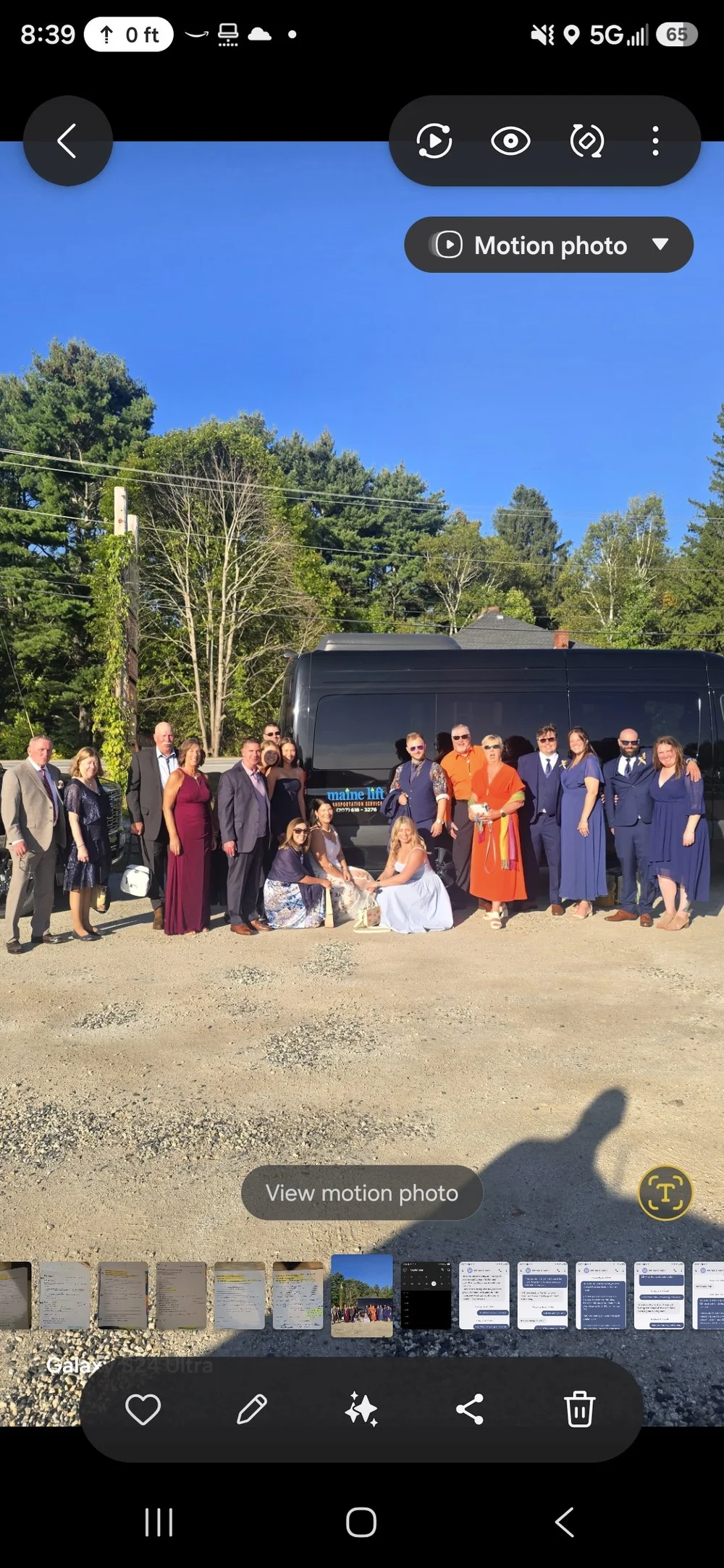Wedding guests, together