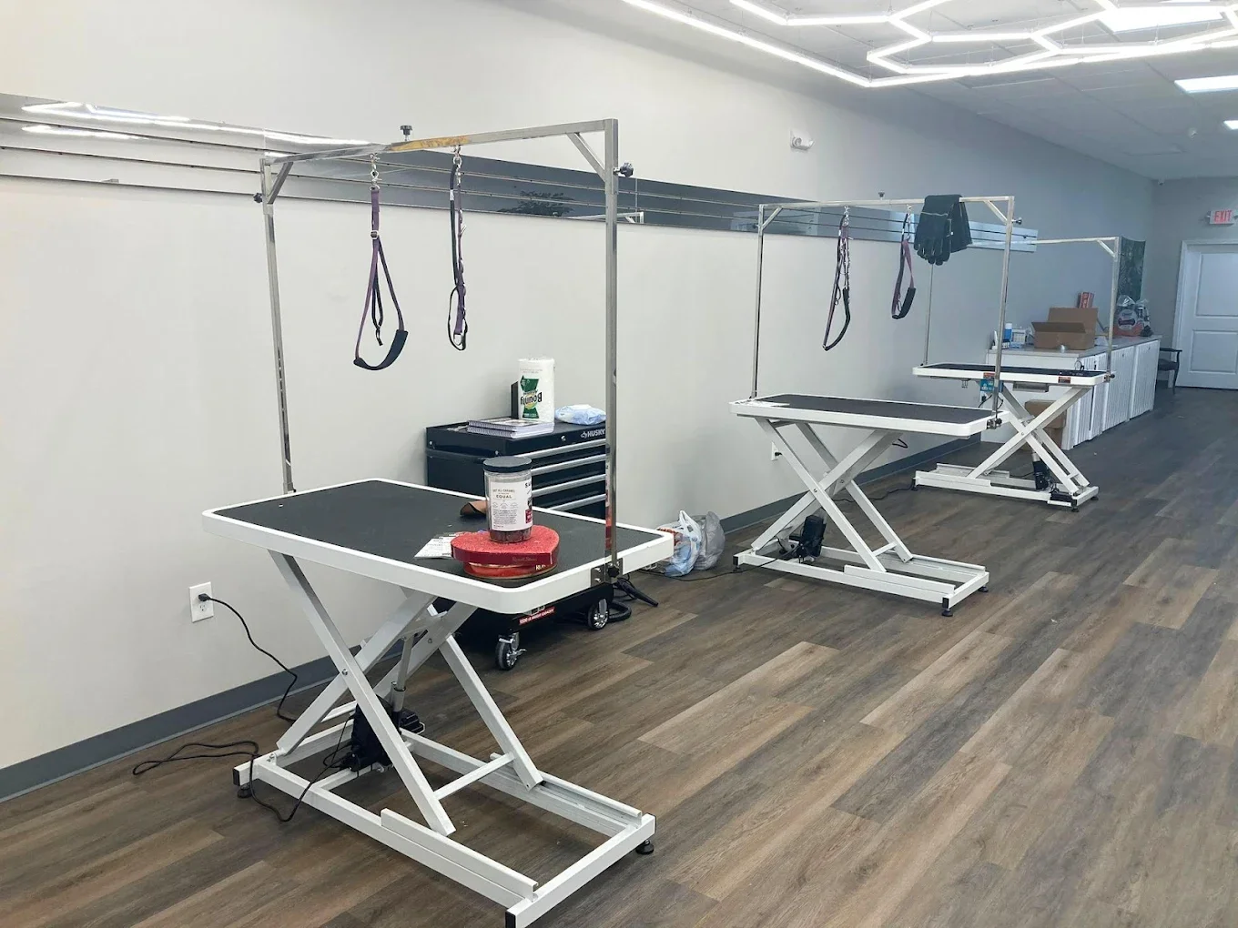 Jurassic Bark grooming area