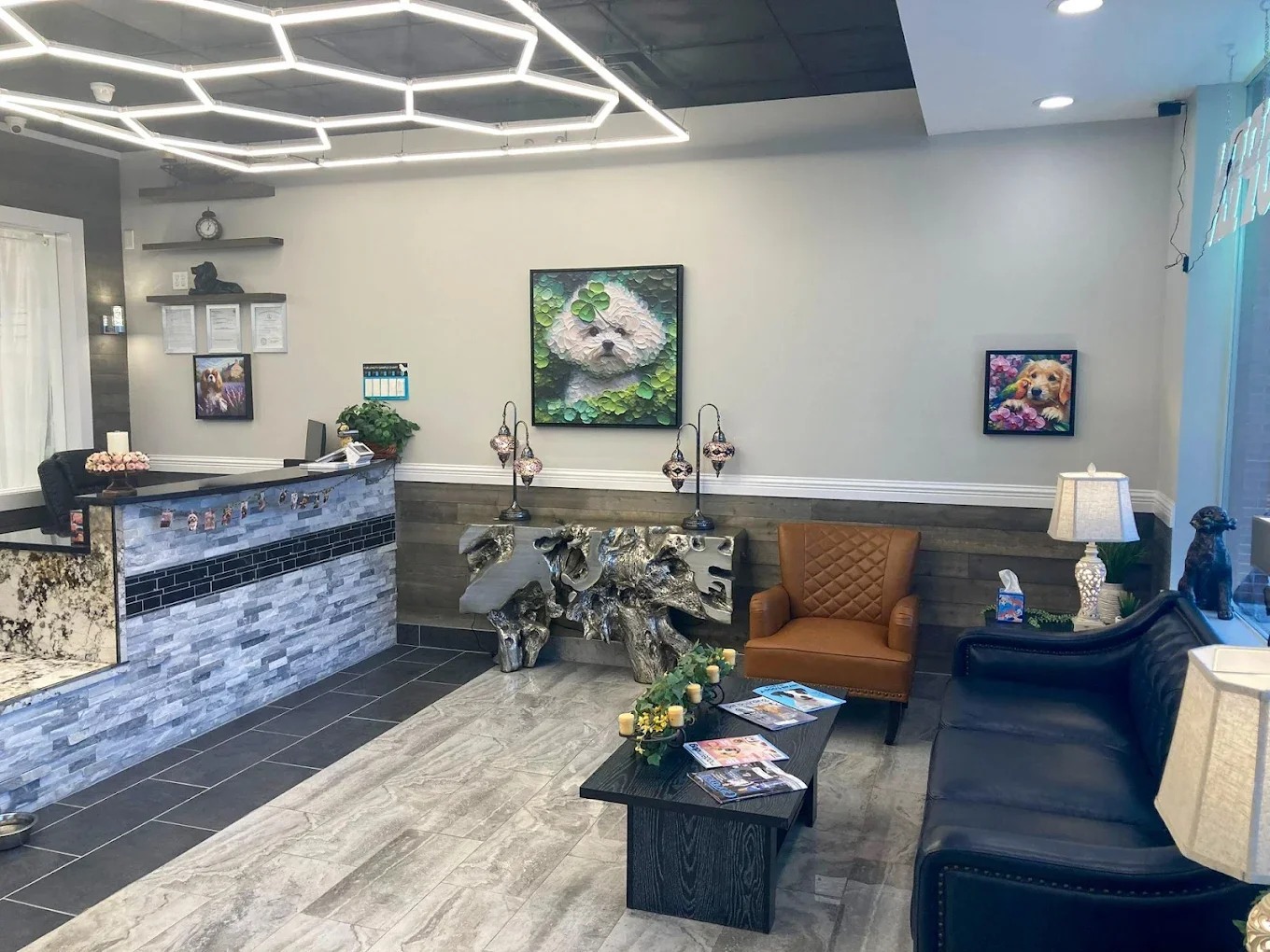 Jurassic Bark waiting area