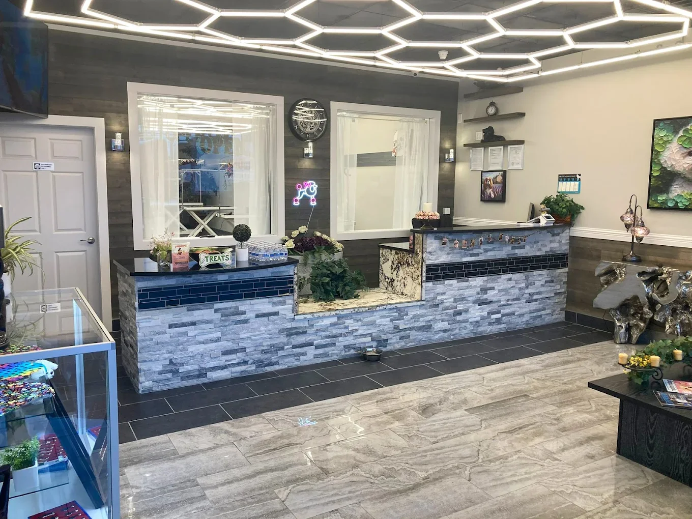 Jurassic Bark front desk