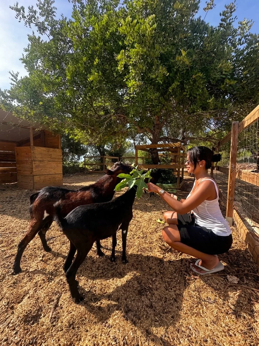 Farm tour and goats