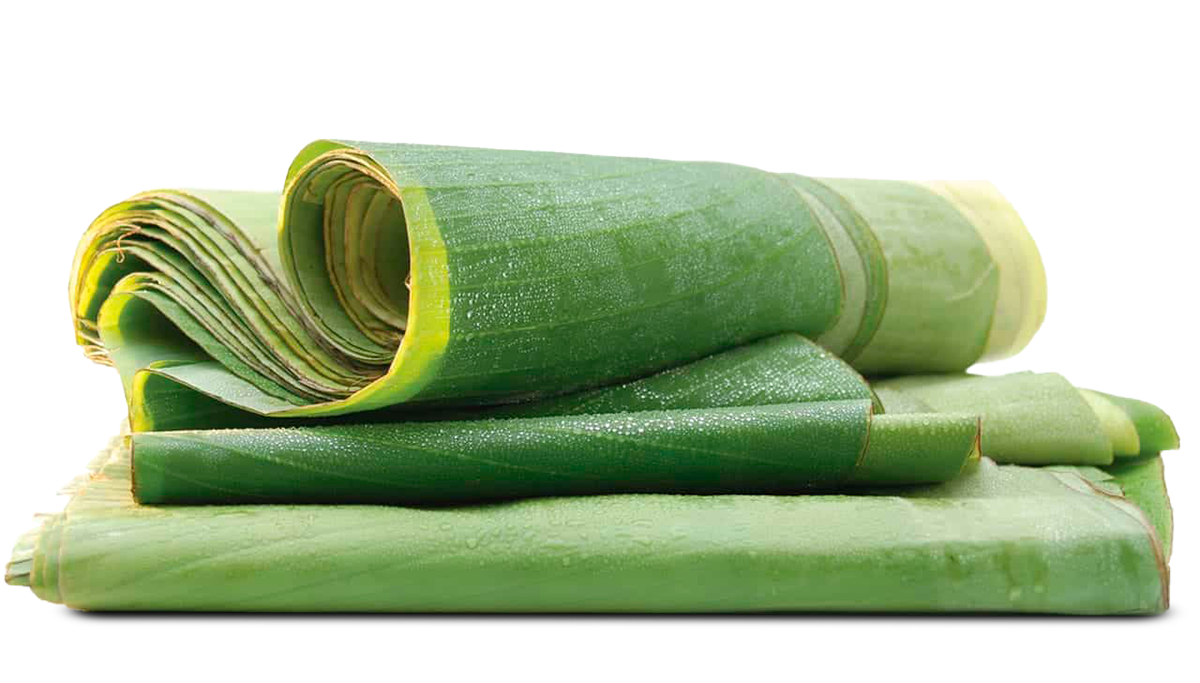 Hojas de pl&aacute;tano enrolladas congeladas