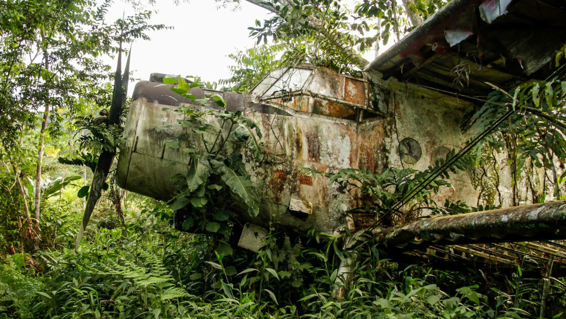 Crashed plane discovered by the Endurance Limits team during the Brazil Jungle Ultra Marathon in support of Great Ormond Street Hospital.