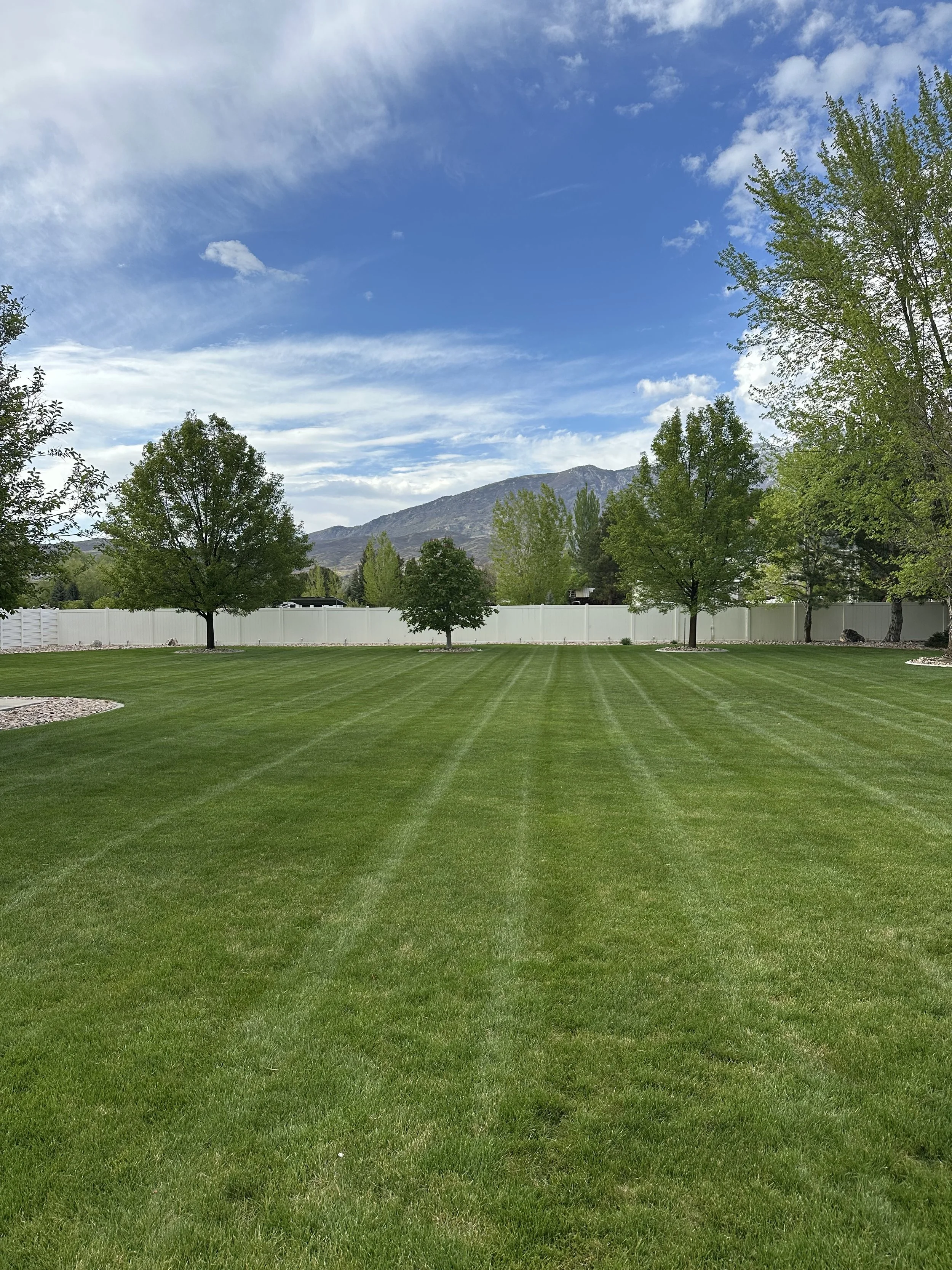 HOA/Apartment Complex Lawn Mowing