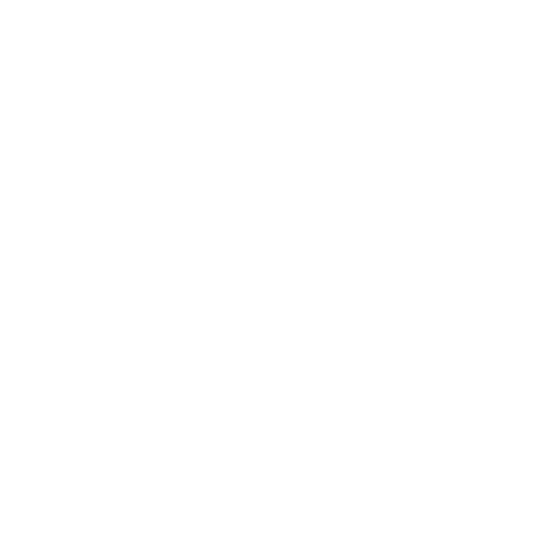 “website