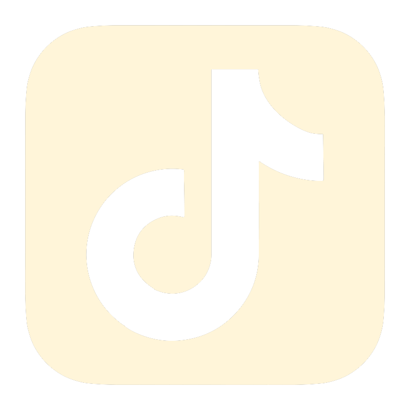 tiktok icon