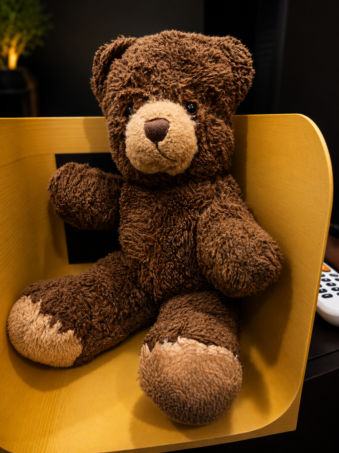 Restored teddy bear