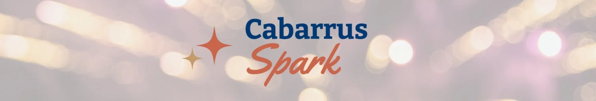 Cabarrus Spark Grant Catalog