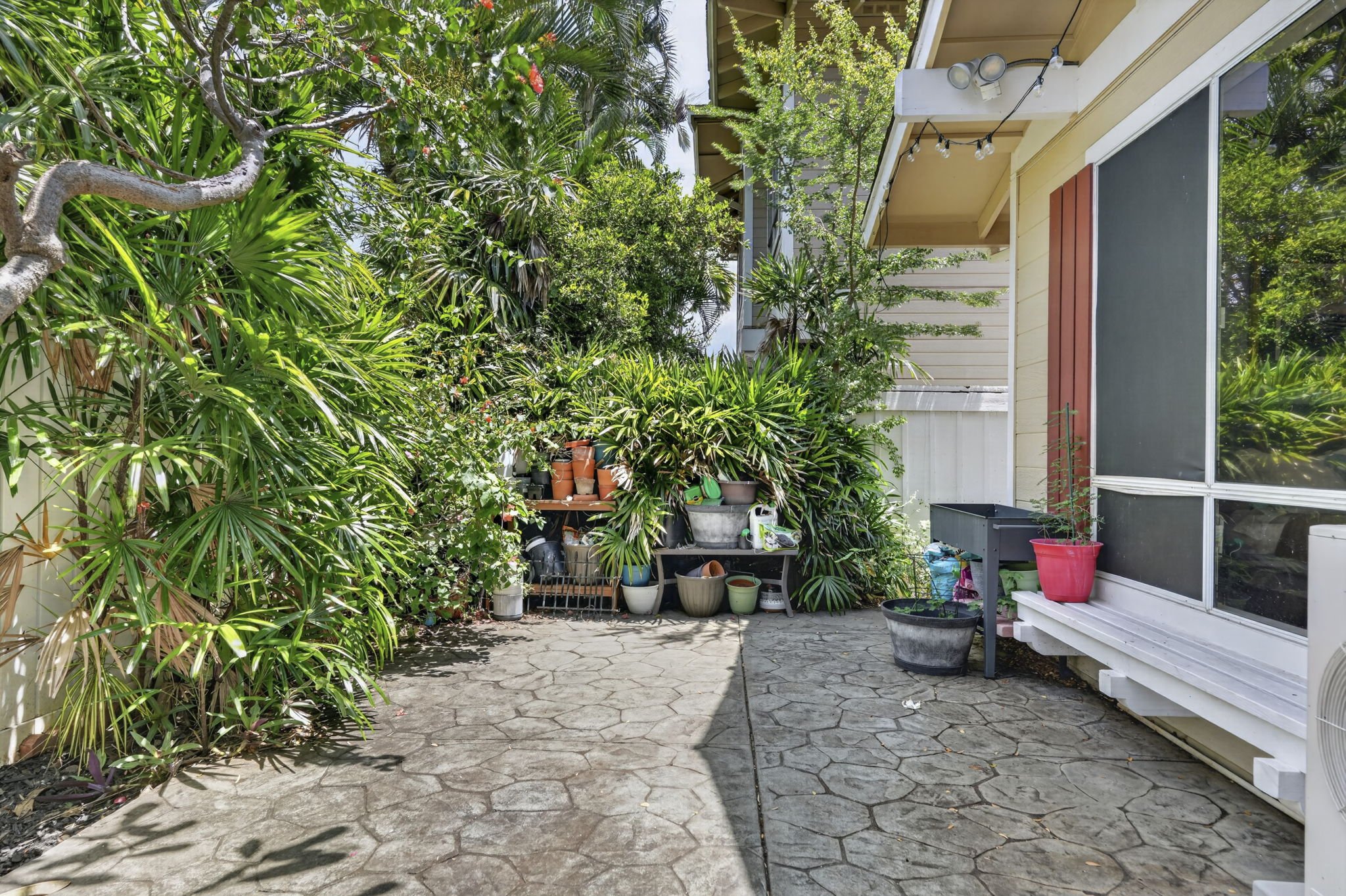 Side yard path with tropical planting alongside the Home, Villages of Kapolei