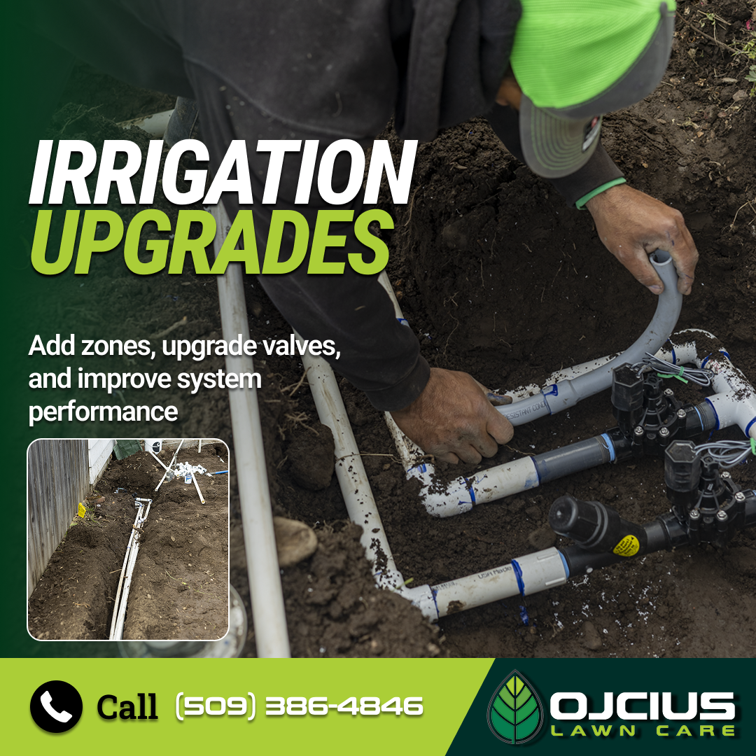Ojcius Lawn Care graphic ad