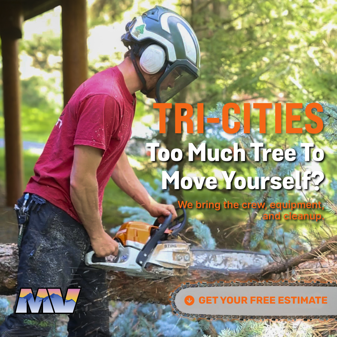 Mountain View Tree Service graphic ad
