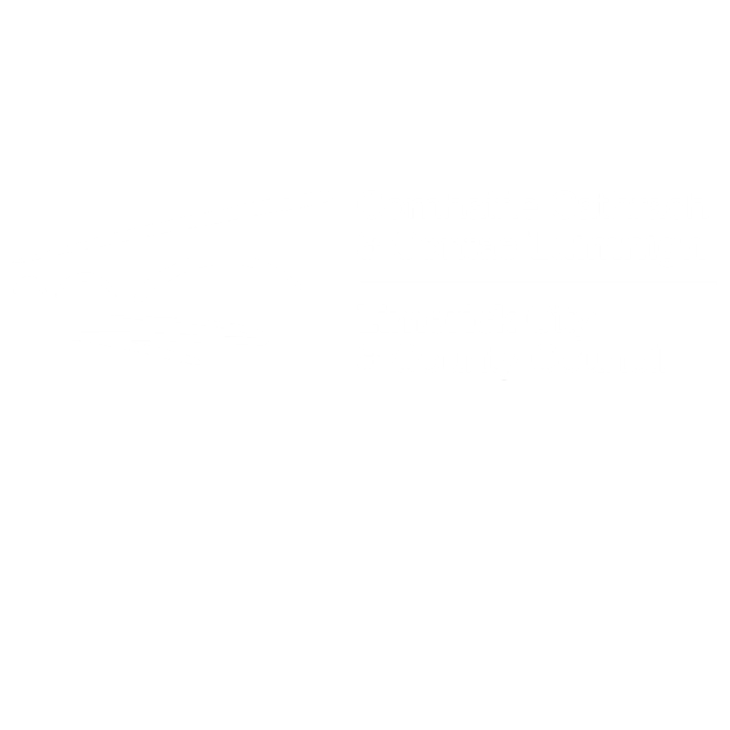 Limerick County Council