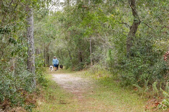 Brooker Creek Headwaters Preserve trail