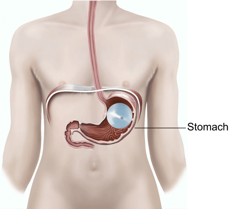 Healthy lifestyle and medical consultation in Melbourne