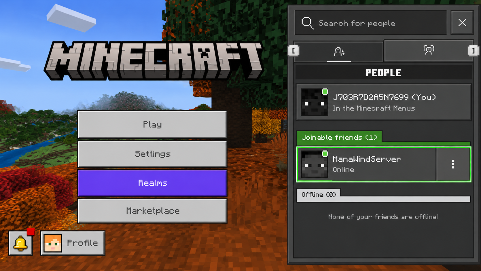 ManaWindServer listed under Joinable Friends