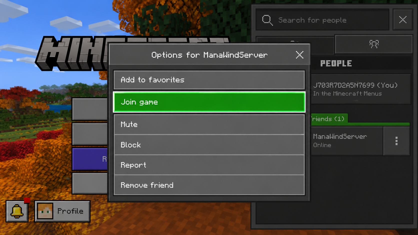 Join Game option for ManaWindServer