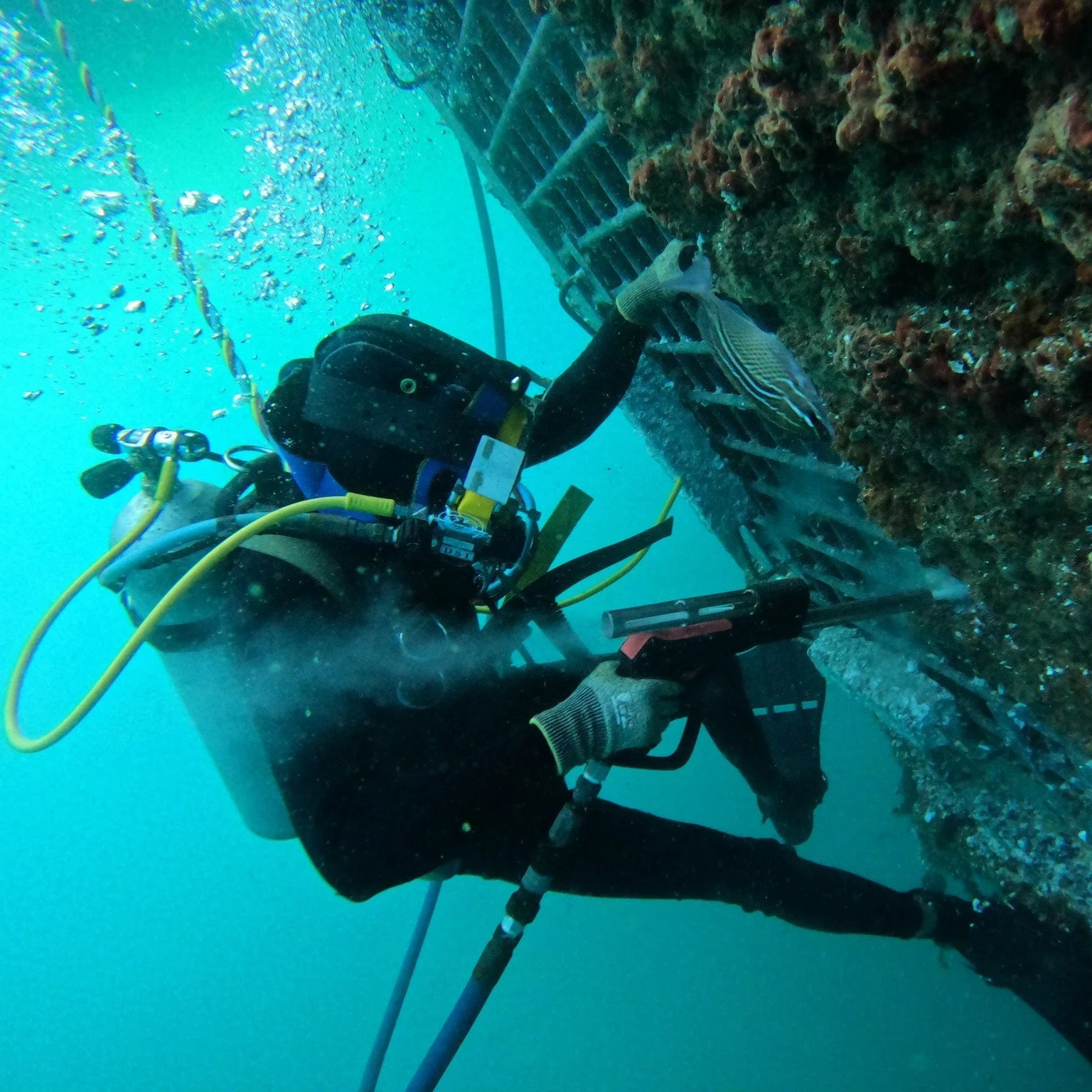 Inspection Diving and SBM Maintenance at Musandam Gas Plant