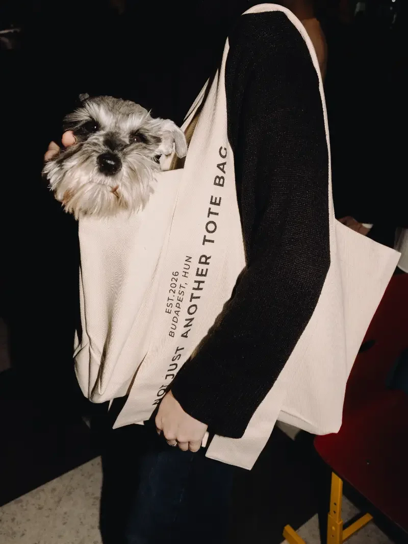 Obiri tote bag in use