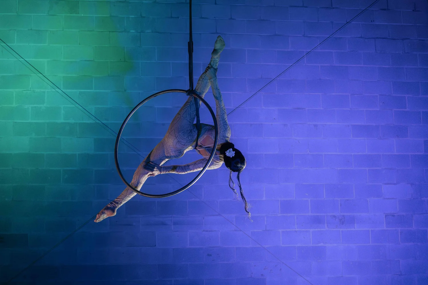 Aerialist performing on a lyra hoop under blue stage lights at Roustabout in Denver
