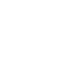 Reviews and Online Reputation