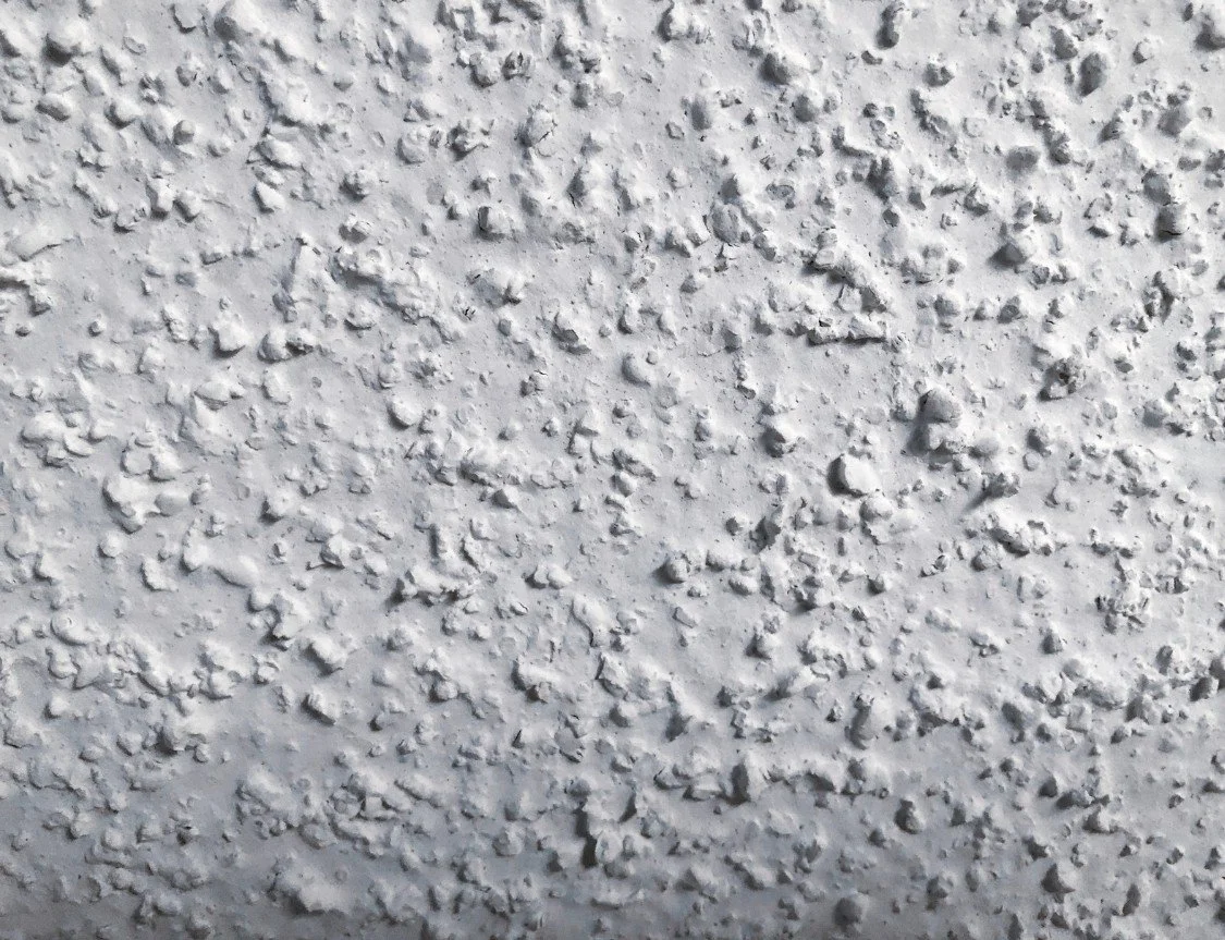 Hopewell Painting evaluating a ceiling repair in North Georgia