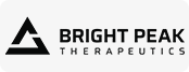 Bright Peak logo
