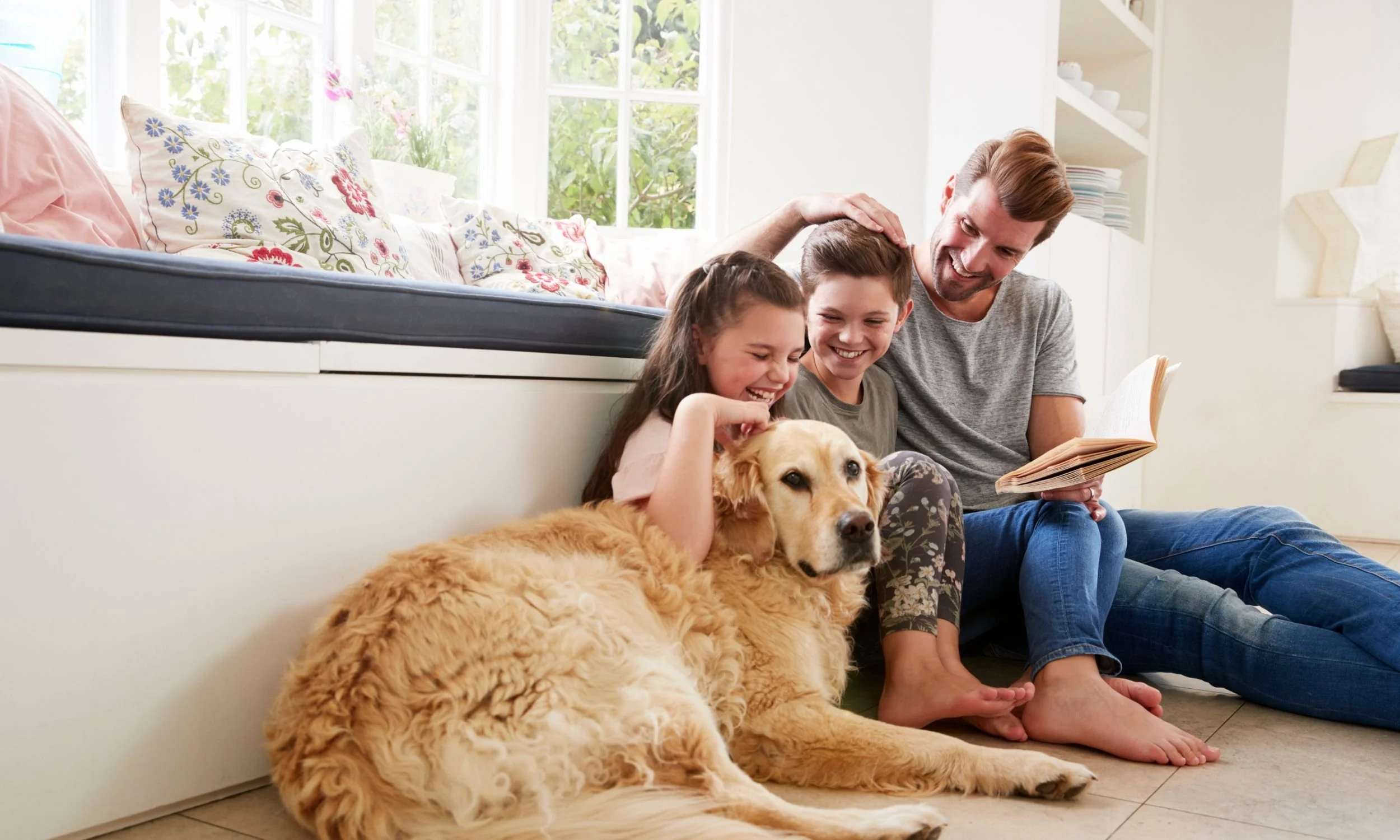 Dr Anna Bak-Bol examining a golden retriever at home