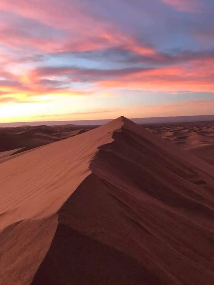 Sahara desert landscapes
